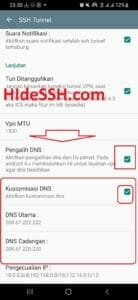 HideSSH : Custom DNS KPn Tunnel