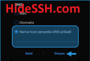 Setting DNS di Android