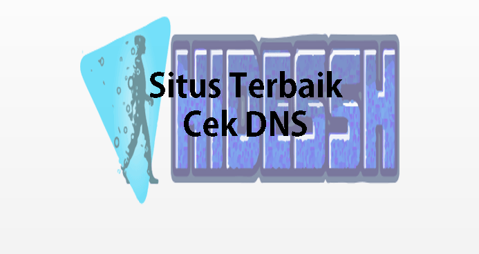 3+ Situs terbaik : Cek Propagasi DNS