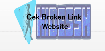 Cara Mencari Link Rusak (Broken Links) dengan Linkinator