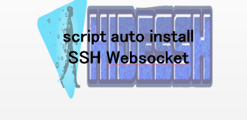 script auto install SSH Websocket