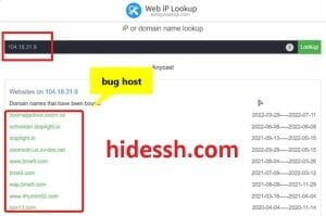 hidessh : Cara Ubah Bug IP TO Host ( Sebaliknya)